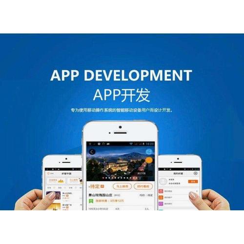 手机app开发软件定制分销积分商城语音交友信息发布小程序制作