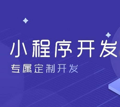 专业团队全行业支持定制设计师1对1设计小程序开发